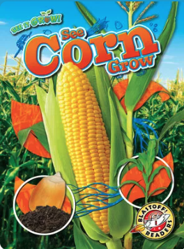See Corn Grow